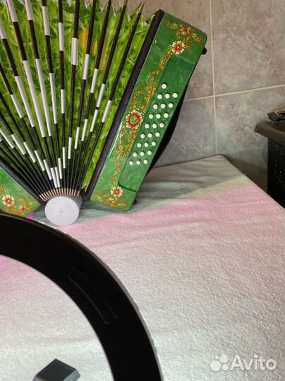 Гармонь Шуйская с заказной росписью и Регистр