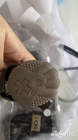 Обувь для собак