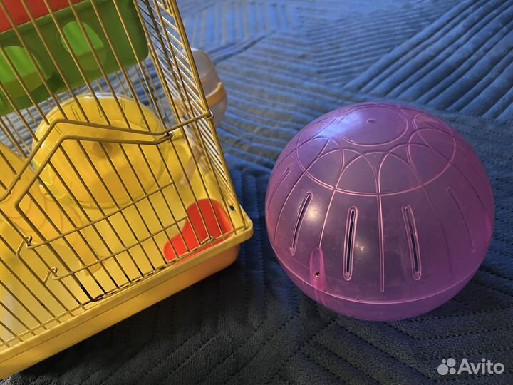 Клетка и другое для грызунов