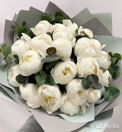 Пионы Букет пионов
