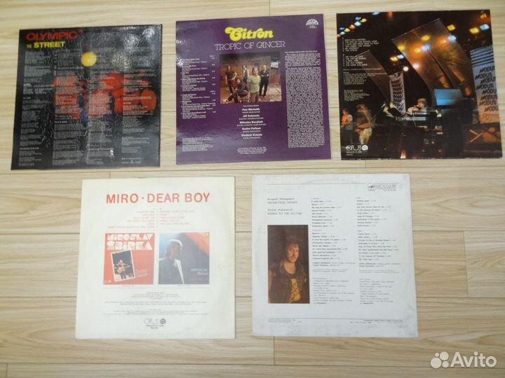 Демократы на английском, Андрей Макаревич