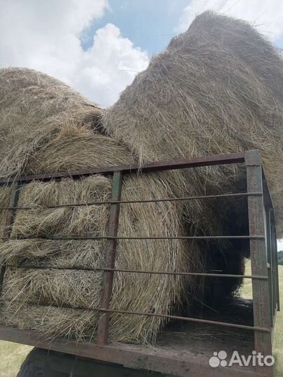 Тюкую сено