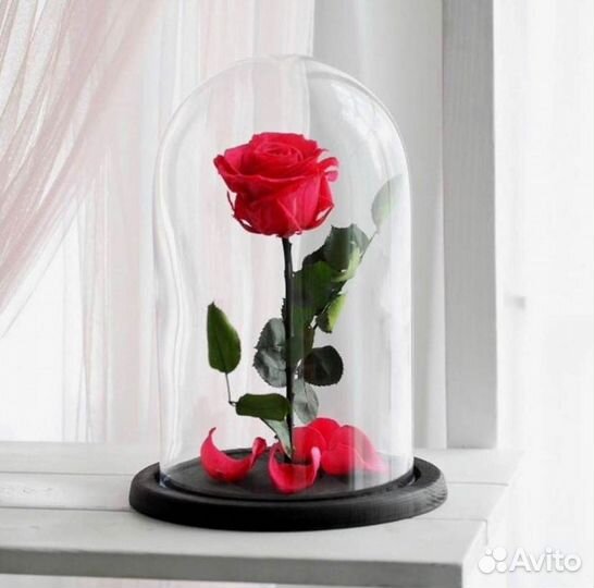 Неувядающая роза в колбе