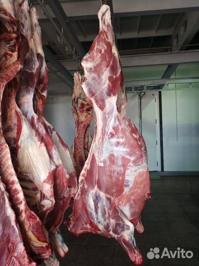 Мясо говядина