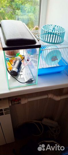 Оборудование для аквариума