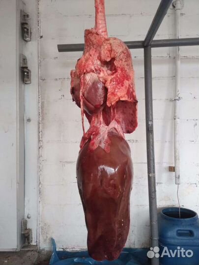 Свиные ножки,ушки и др