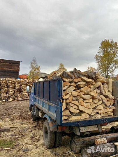 Дрова сухие