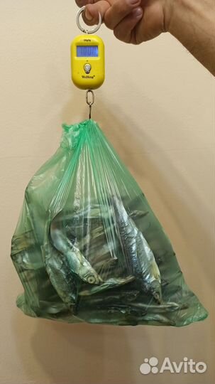 Рыба уклейка вяленая