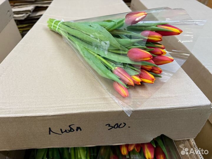 Тюльпаны розница