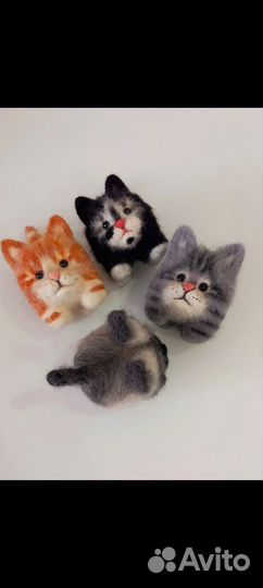 Котята шерстяные