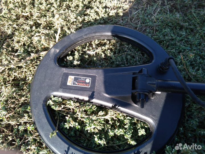 Металлоискатель minelab x terra 705