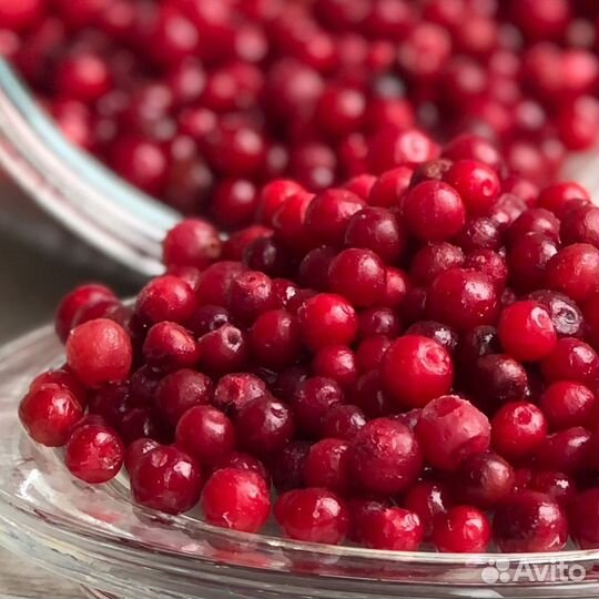 Облепиха. Клюква. Брусника. Смородина. Черника