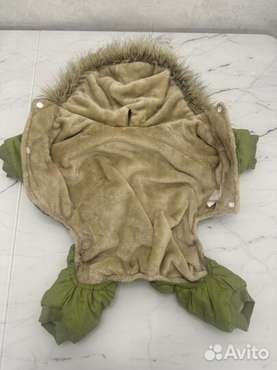 Одежда для собак мелких пород