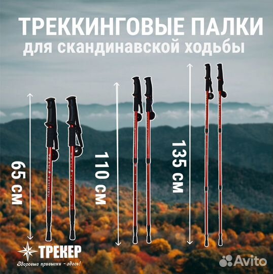 Палки для скандинавской ходьбы телескопические