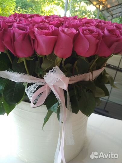 Роза Эквадор оптом