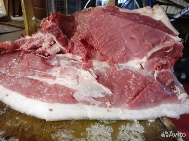 Поросята на мясо