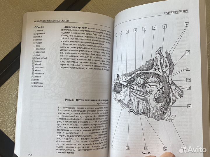 Атлас анатомии человека