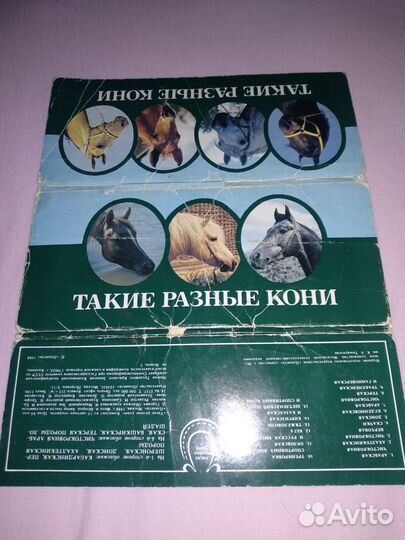 Такие разные кони. Комплект
