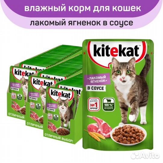 Влажный и сухой корм для кошек