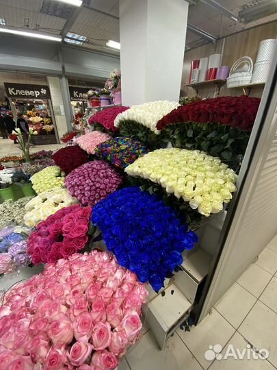 Эквадорские розы