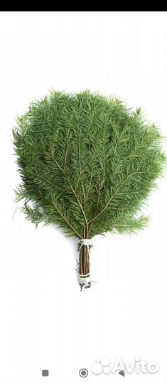 Веники от Светланы всегда на связи