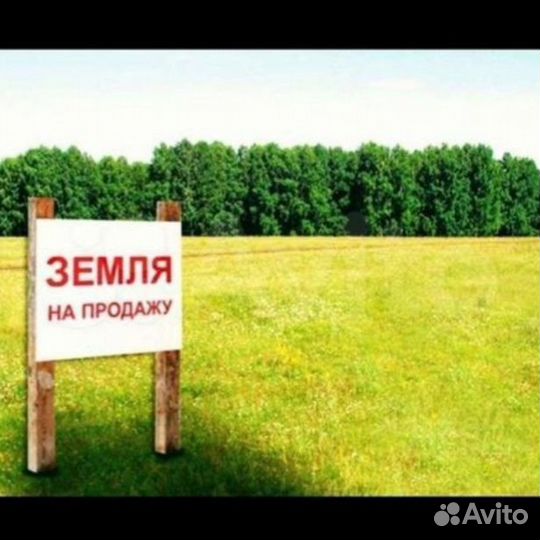 Риэлтор по аренде