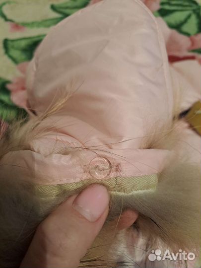Костюм для девочки новый зима