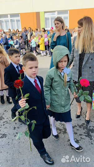 Школьная форма костюм gulliver 5 вещей