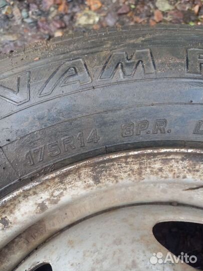 Bridgestone Blizzak DM-V1 175/70 R14