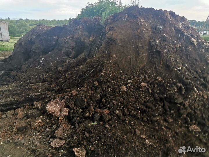 Конский перегной перепревший каровняк