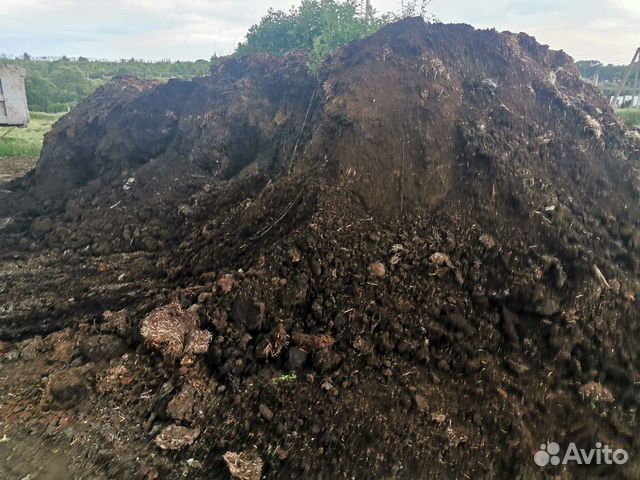 Конский перегной перепревший каровняк