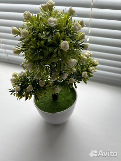 Комнатные растения искусственные