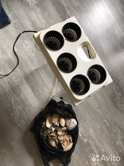 Аквариум Акваферма