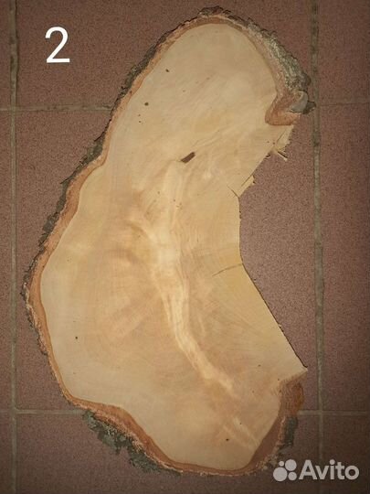 Сувель березовый