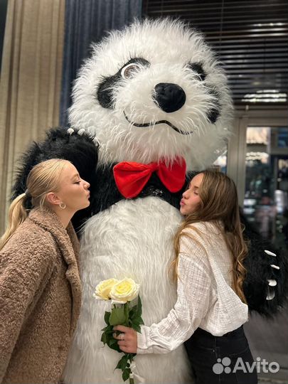 Большые/Ростовые/Надувные Танцующие медведи