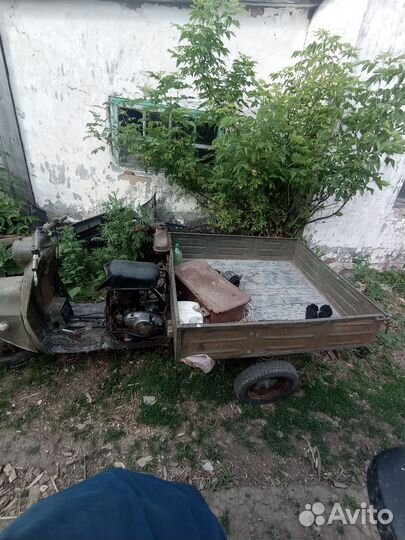 Продам муровей