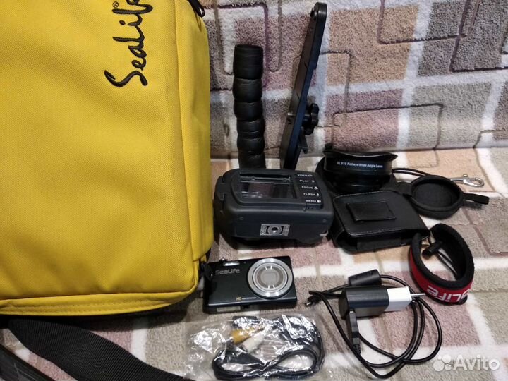 Подводный фото DC1400 + fisheye SL975+вспышка