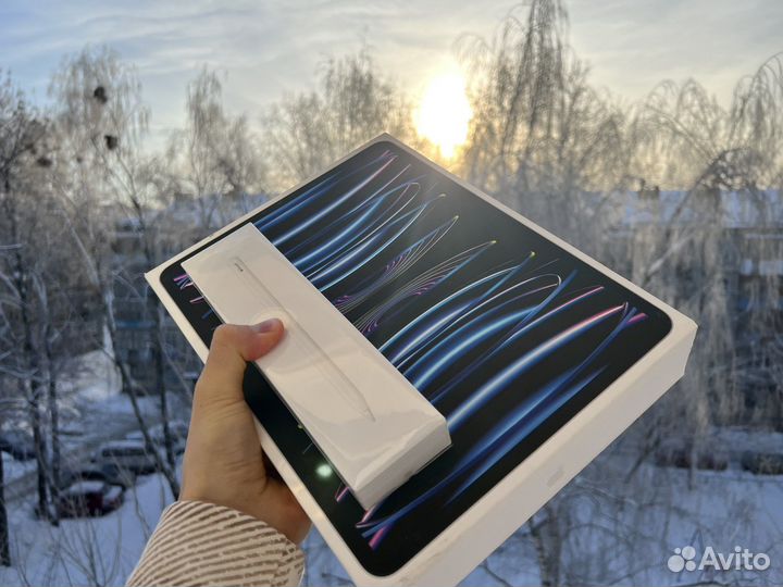 iPad pro 12.9 m2 256g silver + sim