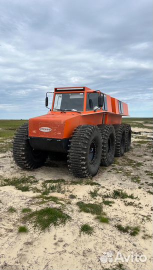 Снегоболотоход тром-8