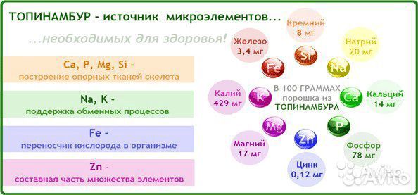 Топинамбур на посадку