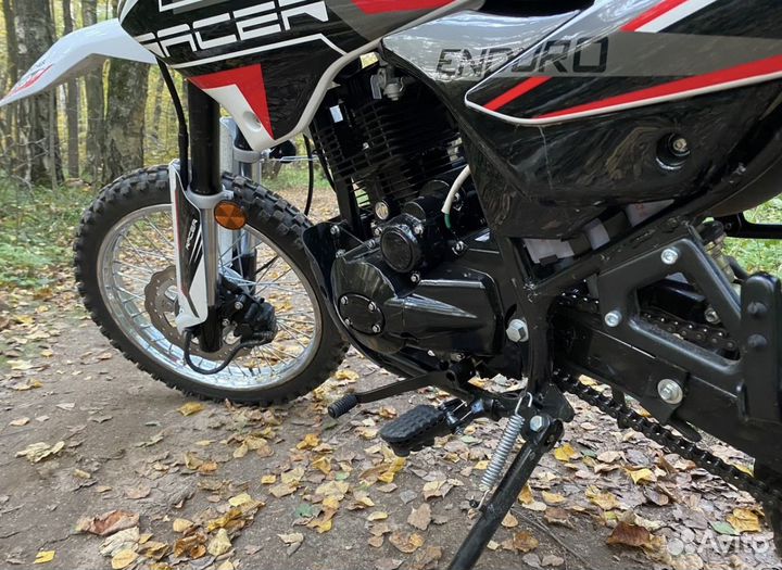 Racer Panther 250