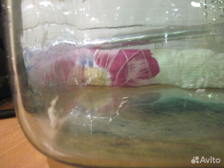 Аквариум цельнолитой круглый с крышкой. Стекло