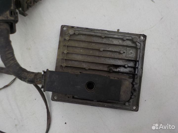 Проводка моторного отсека Ford Fiesta 2001-2007