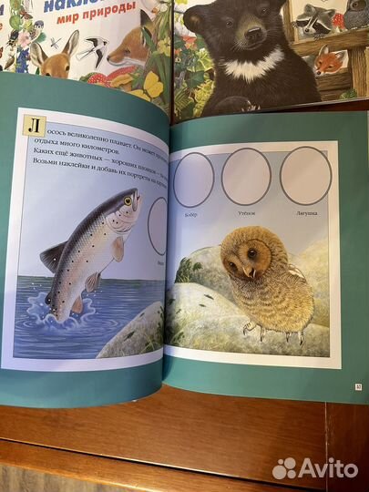 Чудо-наклейки Морис Пледжер