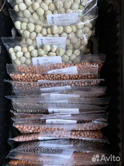 Набор для выращивания микрозелени