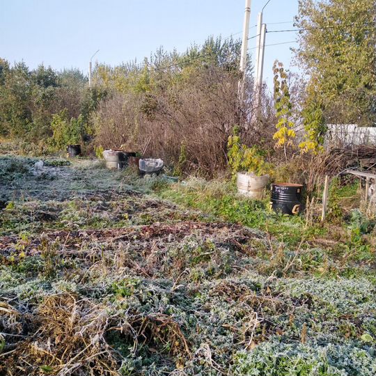 Участок 6,5 сот. (СНТ, ДНП)