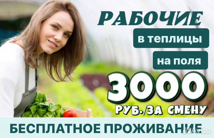 Рабочие в поля М и Ж Вахта