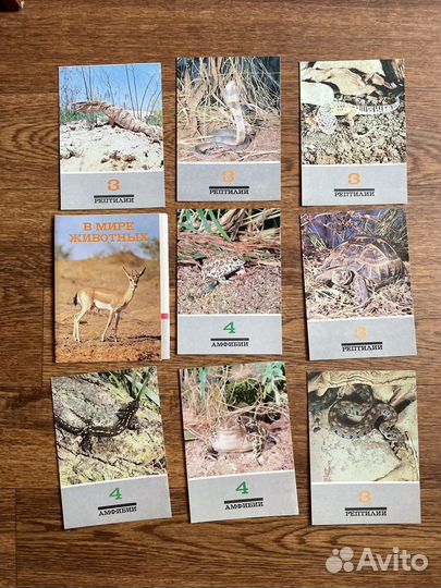 Красная книга СССР