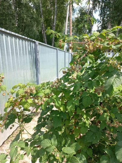 Дача 69 м² на участке 9 сот.