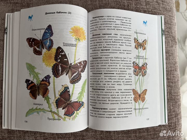 Атлас определитель от земли до неба